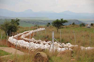 British Mass Graves - Spionkop 1900
