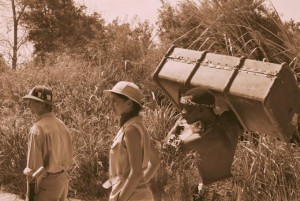 Bush Camp