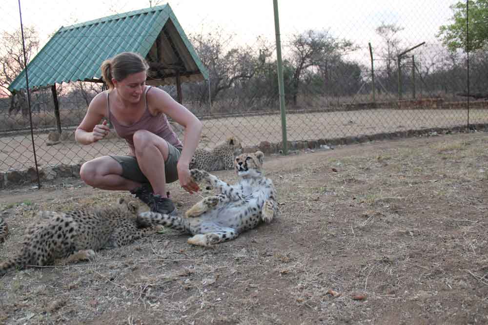 Working with Cheetah