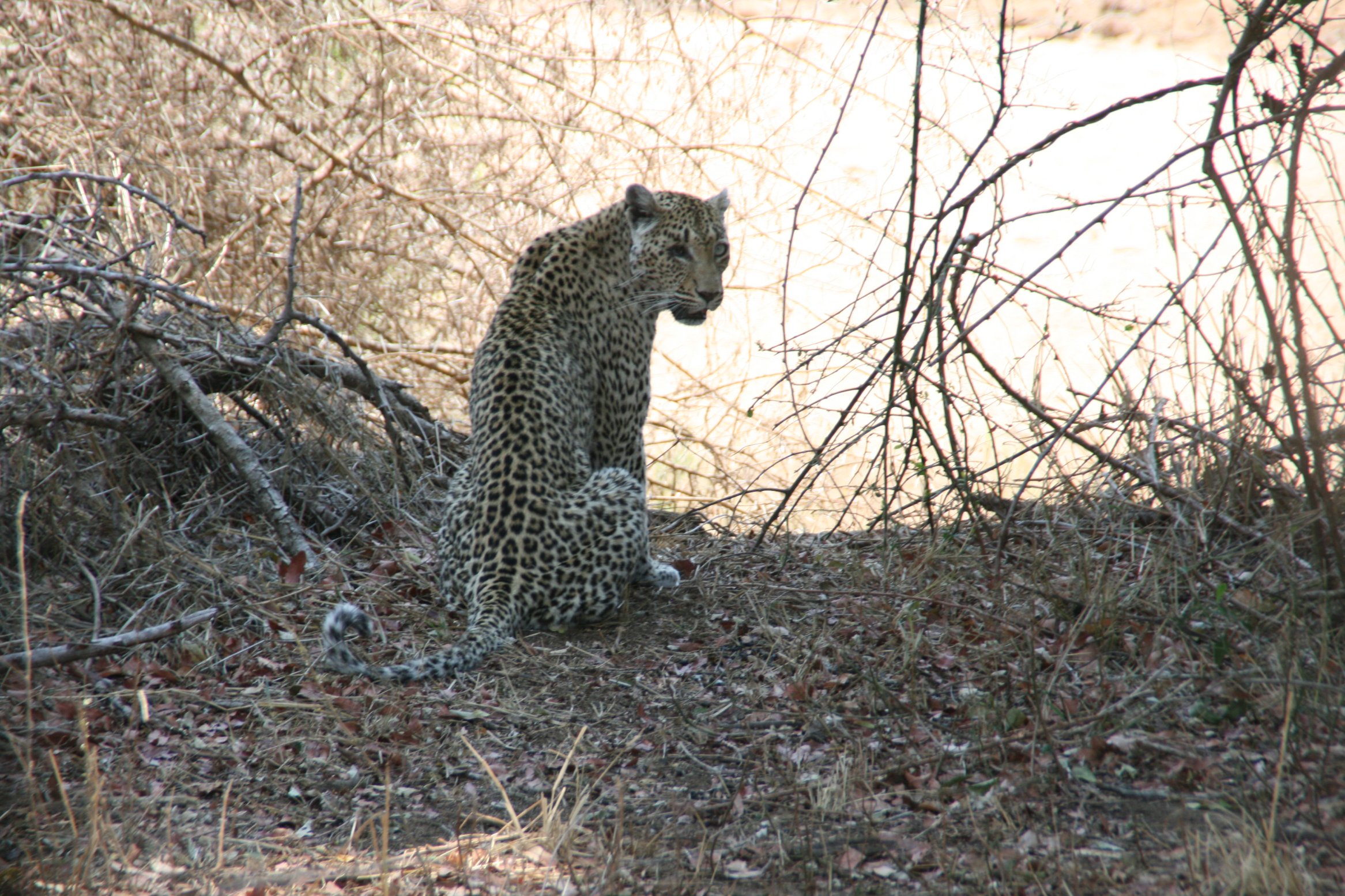Kruger National Park