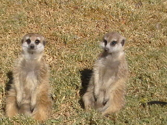 Kruger Park