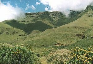 Sani Pass Tours